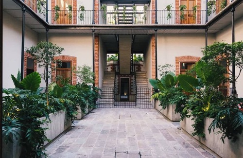 Cuauhtemoc Apartment | Cozy Contemporary Loft near Centro Histórico