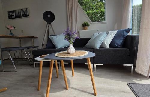 Tzummarum House | Cozy cottage Tzummarum near the Wadden Sea