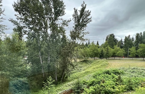White Center House | Cozy, Firepit, Child-friendly, 11 minutes from Airport,12 minutes from downtown