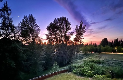 White Center House | Cozy, Firepit, Child-friendly, 11 minutes from Airport,12 minutes from downtown