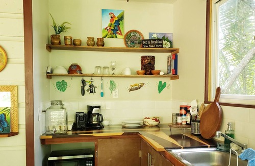 San Ignacio Cabin | Cozy Forest Screened Cabin- 2 beds, AC, firepit patio -7 min to downtown