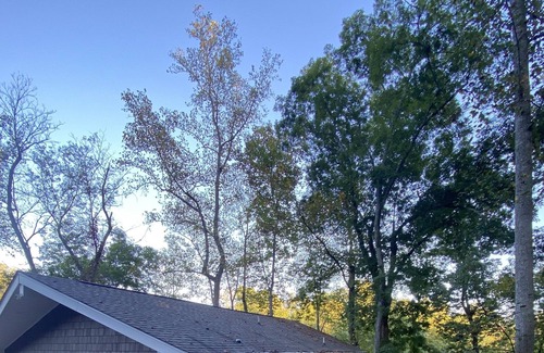 Moneta Cottage | Cozy & fun Lake House with water access and game room!