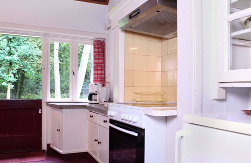 Zuidwolde House | Cozy Holiday Home near Forest in Zuidwolde