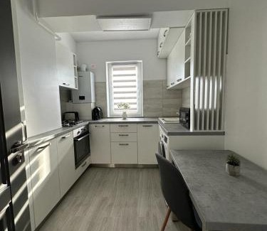 Suceava Apartment | Cozy Holidays in Center of Suceava Esplanada