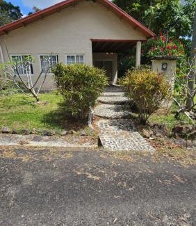 Altos del Maria House | Cozy Houses in Tropical Forest Mountain Paradise
