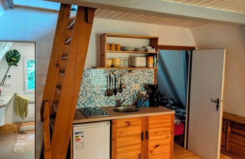 Eibenstock Cabin | Cozy hut in the middle of the forest. Pet friendly!