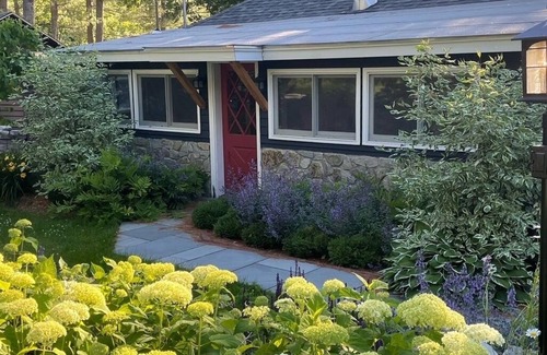 Winchester Cottage | Cozy Lakefront Cottage On Forest Lake- Live the Lake Life!