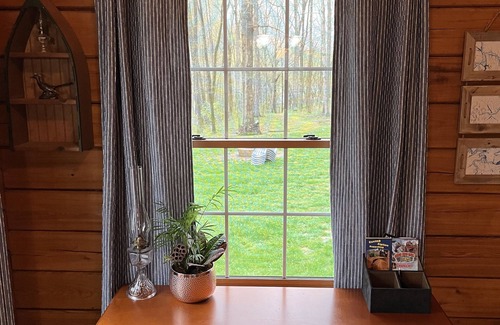 Fountain Run Cabin | Cozy lakehouse retreat w/kayaks, high speed Wi-Fi, and pet friendly!