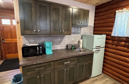 Cambridge Cabin | Cozy log cabin with AC and WiFi in quiet countryside and awesome night sky views
