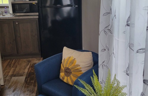Lynchburg House | Cozy mobile home in Rustburg with AC, WiFi 2 minutes Liberty University