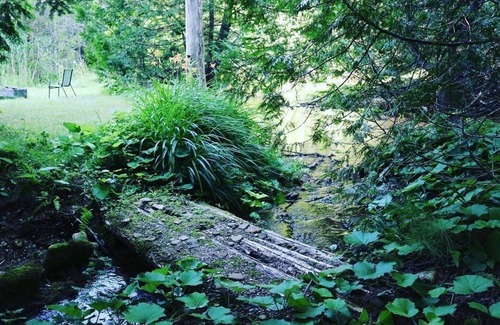 Mono Cottage | Cozy modern river side cottage surrounded by forests, waterfalls and streams