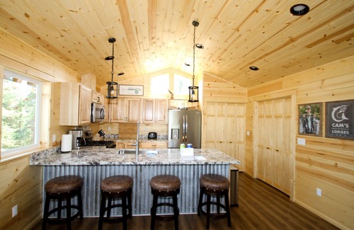 Soldotna Cabin | Cozy Retreat at CAM'S Kenai Riverfront Lodges