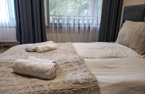 Borovets Apartment | Cozy Riverside Pine Studio E5