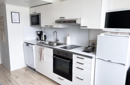 Downtown Kuopio Apartment | Cozy Studio Apartment in the Heart of City Centre
