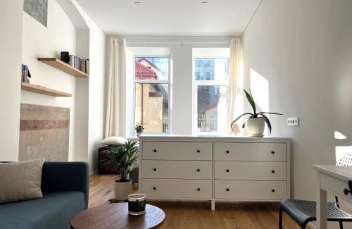 Vilnius Apartment | Cozy studio in Sv Stepono g.