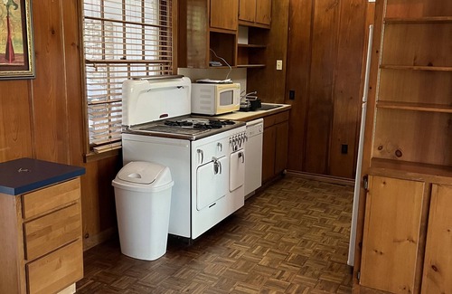 Barton Heights Apartment | Cozy studio under the Oaks, easy walk to Zilker park and fun!