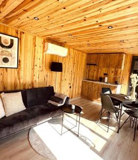 Matsloot House | Cozy Tiny House bij het Leekstermeer