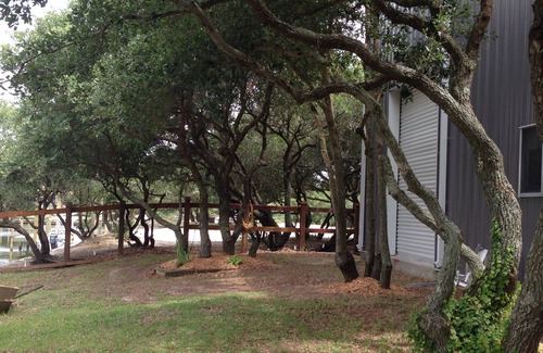 Carova Beach Cottage | Cozy up in this very relaxing efficiency suite surrounded by pristine wildlife.
