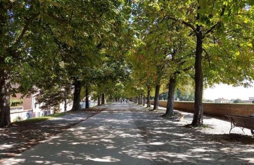 Lucca Historical Center Apartment | CozyBricks in Lucca - Apartments in Lucca Historical Center - Air Cond & WiFi -