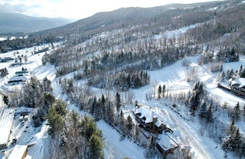 Bretton Woods Villa | CR1 Top Rated Ski-In Ski-Out Townhome Great views fireplaces fast wifi AC - Short walk to slopes