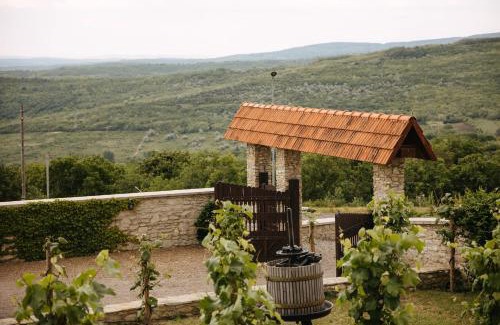 Moldova Hotel | Crama Mircesti