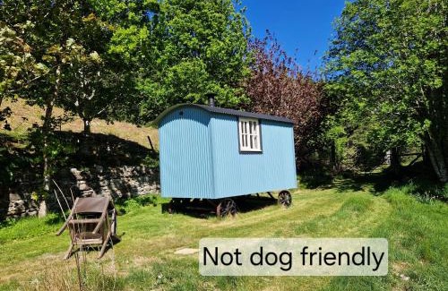 Beauly Cabin | Craskie Glamping Pods