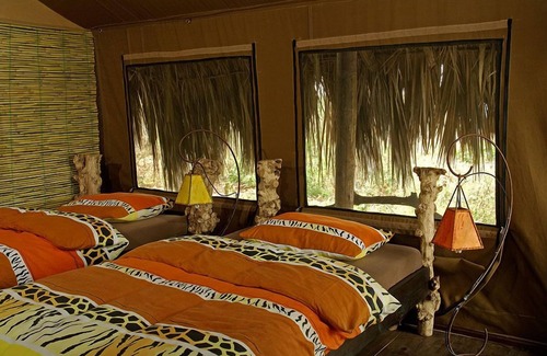Ngorongoro Conservation Area Other | Crater Forest Tented Camp