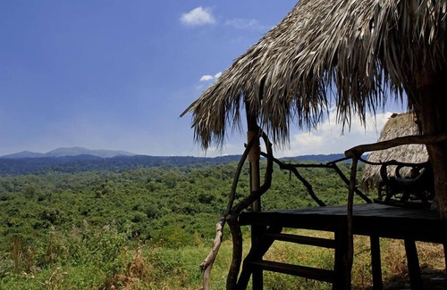 Ngorongoro Conservation Area Other | Crater Forest Tented Camp