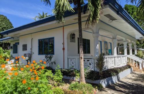 Basdiot House | Crazy Bears Guesthouse
