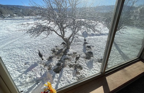 Mesa Other | Creekside 4 bedroom / 3 bath home just minutes from Powderhorn Ski resort