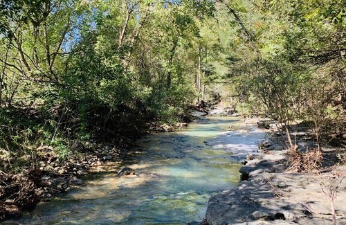 Jasper Cabin | Creekside Cabin - Cozy Cabin Overlooking Year Round Creek