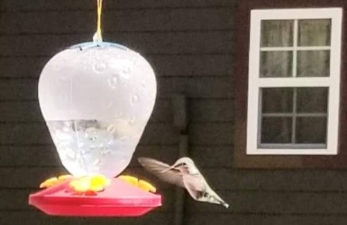 Celo Cottage | Creeksong Cottage Unique tranquil getaway