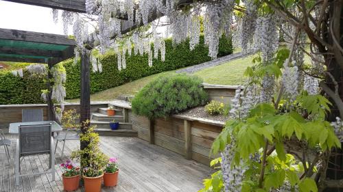 Wanaka Bed & Breakfast | Criffel Peak View Bed and Breakfast