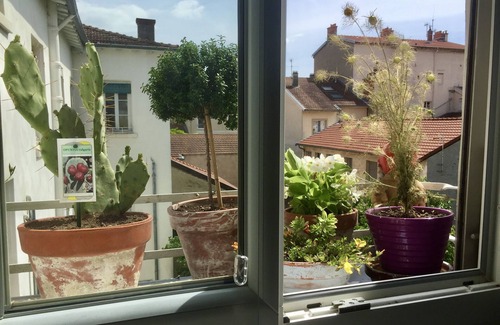 Croix Rousse Apartment | Croix rousse center /Duplex with overview on a garden, ancient building 18th century
