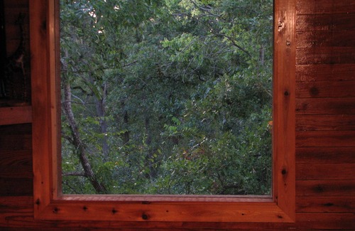 Canyon Creek Cabin | Crow's Nest Cabin on Piper Lane