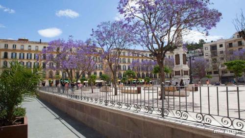 Lagunillas Apartment | Cruz Verde Suite Málaga 3 rooms+3 bathrooms