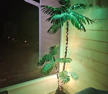 Tallahassee Apartment | Cute Comfy Studio Prime Location