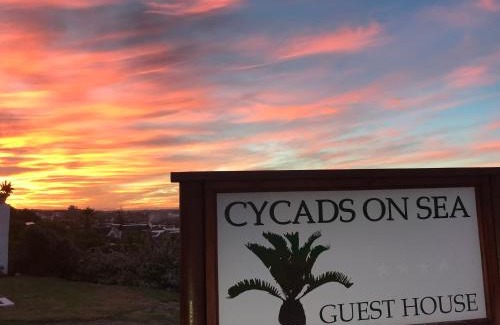 Saint Francis Bay Bed & Breakfast | Cycads on Sea Guest House