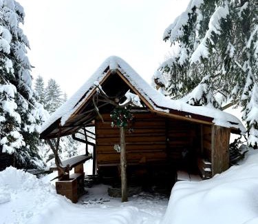 Nowy Targ House | CypiSówka