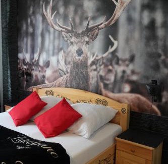 Zakopane Apartment | "CZARNA TURNIA"-Apartament Góralski