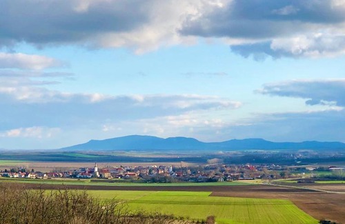 Olbramovice House | Dům U Slunce a Vína