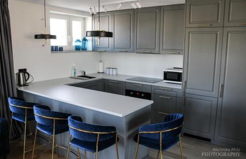 Bialystok Apartment | D Apartments "Z wizytą u Branickich"