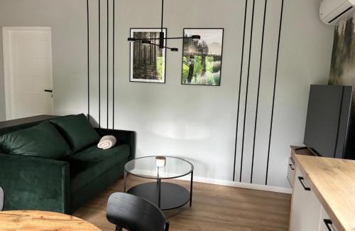 Nowa Ruda Apartment | Dach Pod Sową Apartament GS