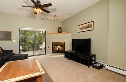 Peak 8 Cabin | DAILY WILDLIFE - MOOSE, BEAR, DEER, RACCOON, PORCUPINE - 3BR/3BA SKI IN/SKI OUT