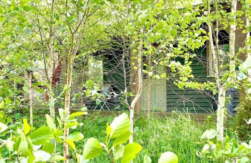 Rewe House | Daisy-a romantic logcabin hiding amongst the trees