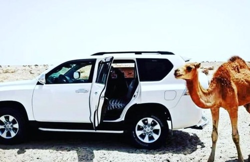 Dakhla Other | Dakhla voyage organisé