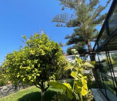 Cesme Bed & Breakfast | Dalyan Risus Suite