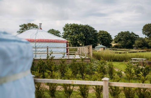 Newquay Cabin | Damaris - A spacious Mongolian-inspired Yurt in stunning eco-friendly estate near Newquay