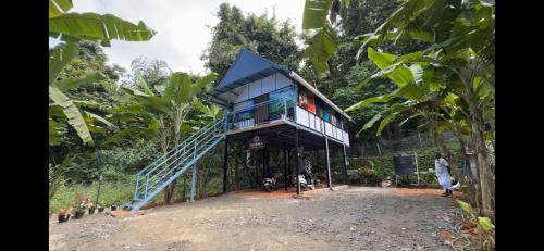 Mannarkkad Apartment | damora
