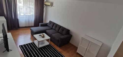 Pitesti Apartment | Dana